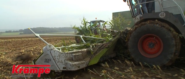 Wildschwein flieht vor Häcksler