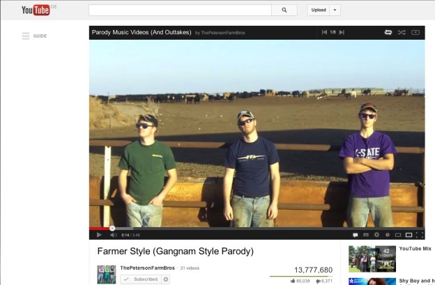 Die Peterson Brothers