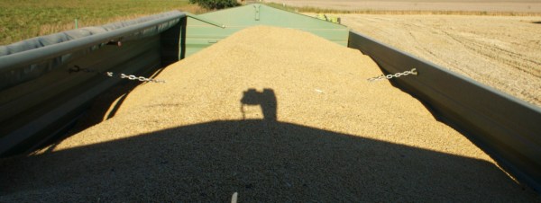 Ein Anhänger pro Stunde