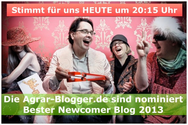 Blogger 2013 Wir sind nominiert!