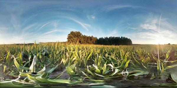 Landwirte stellen sich Verbraucherfragen im AgChatDE