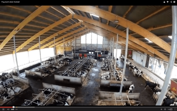 Moderner Milchviehstall