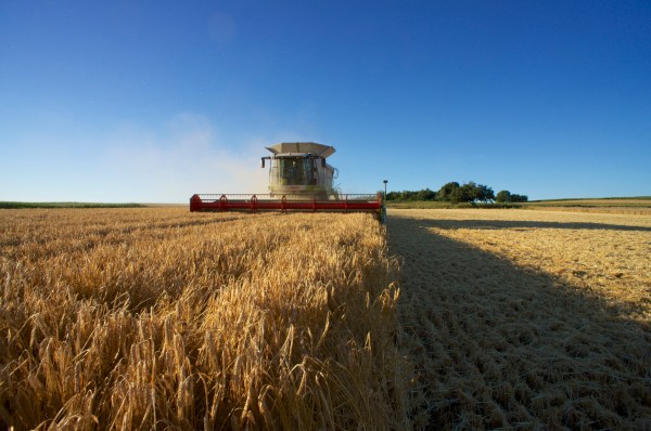 Moderner Claas Lexion 600 Terra Trac bei der Ernte
