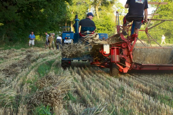 Bindemäher hinter einem Lanz