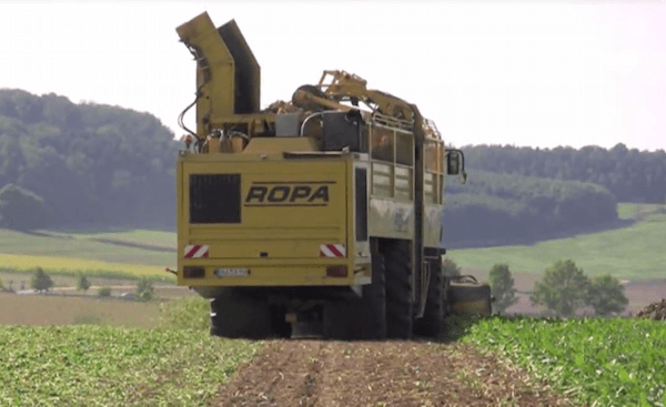 3-Achsiger Rübenroder im Hundegang