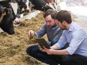 Auch in der Tierhaltng werden neueste Sensor-Technologien eingesetzt. (Foto: fodjan GmbH)